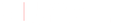 Metsaspace Logo